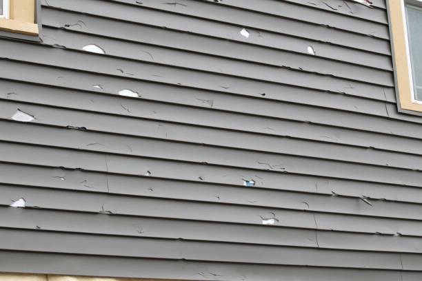 Best Custom Siding Design  in Closter, NJ